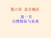 鲁教版（五四学制）七年级下册地理 第六章  第一节 自然特征与农业(2) 课件