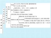 鲁教版（五四学制）七年级下册地理 第八章 西北地区 复习 课件