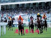 鲁教版（五四学制）七年级下册地理 第七章  第三节“东方明珠”——香港和澳门(2) 课件