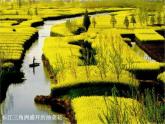 鲁教版（五四学制）七年级下册地理 第七章  第二节“鱼米之乡”——长江三角洲地区 课件