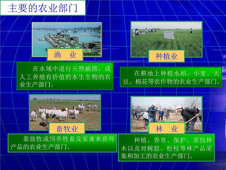 4.2农业课件第6页