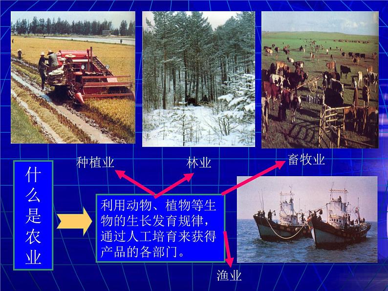 4.2农业课件第7页