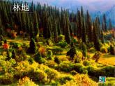 3.2中国的土地资源课件PPT