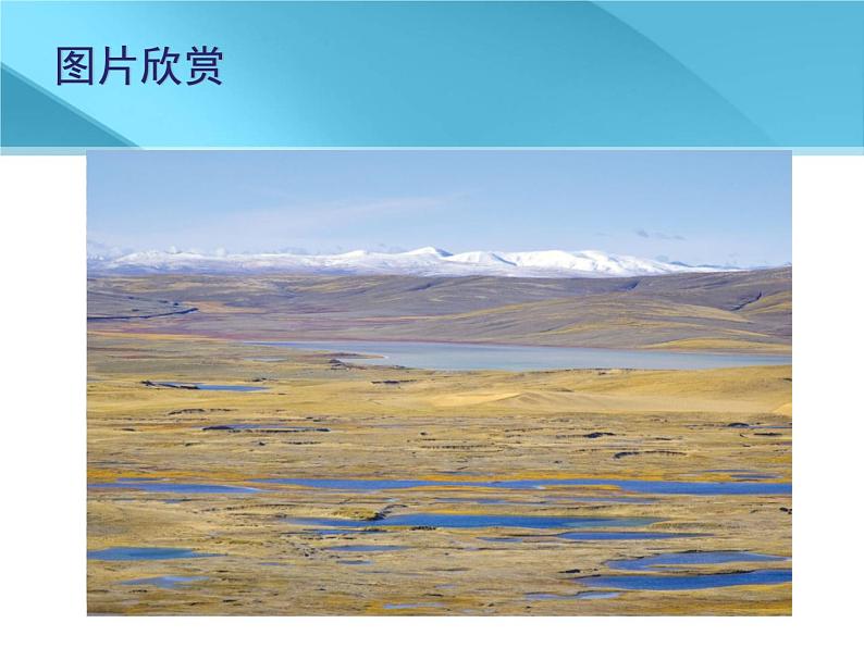 鲁教版（五四学制）七年级下册地理 第九章 高原湿地——三江源地区_ 课件第3页