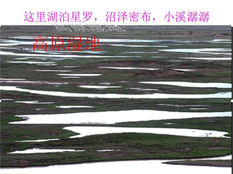 鲁教版（五四学制）七年级下册地理 第九章 高原湿地——三江源地区_ 课件第5页