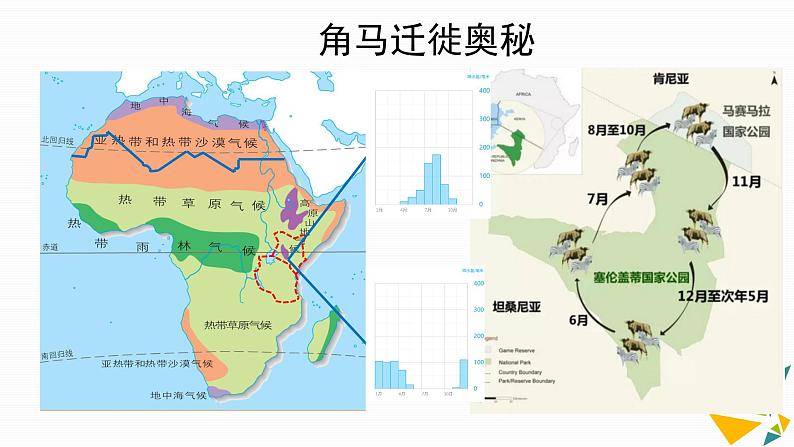 8.3撒哈拉以南非洲课件第6页