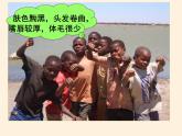 鲁教版（五四制）地理六年级下册 第八章第三节撒哈拉以南的非洲（课件）