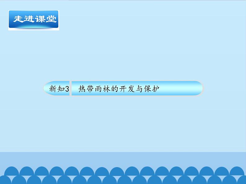 鲁教版（五四制）地理六年级下册 第九章第二节巴西-第二课时_（课件）第5页