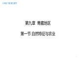 第九章 第一节 自然特征与农业 -2021-2022学年人教版地理八年级下册课件
