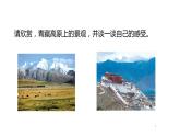 第九章 第一节 自然特征与农业 -2021-2022学年人教版地理八年级下册课件