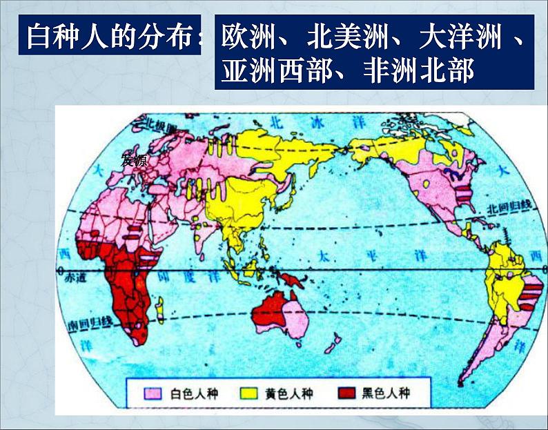 第2节 世界的人种课件PPT第6页