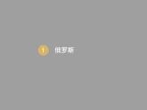 2022年人教版七年级地理下册第7章第4节俄罗斯课件 (3)