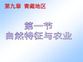 2022年人教版八年级地理下册第9章第1节自然特征与农业课件 (1)