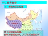 2022年人教版八年级地理下册第9章第1节自然特征与农业课件 (1)