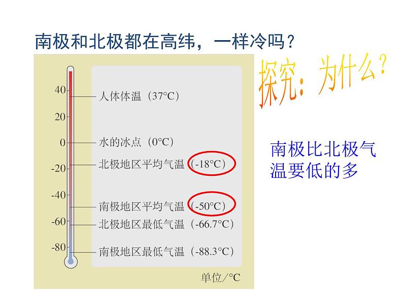 2022年人教版七年级地理下册第9章第2节巴西课件 (4)第5页