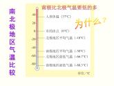 2022年人教版七年级地理下册第9章第2节巴西课件 (5)