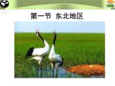 粤教版八年级下册地理7.1东北地区课件