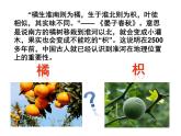 粤教版八年级地理下册5.2重要的地理分界线课件PPT