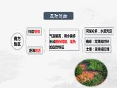 粤教版八年级下册地理6.2南方地区（第 2课时）课件PPT