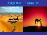 2022年人教版八年级地理下册第8章第1节自然特征与农业课件 (2)