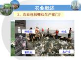 4.1农业粤教版八年级上册地理课件PPT