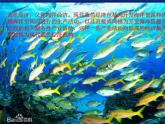 商务星球版八下地理 10.2海洋利用与保护 课件
