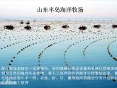 商务星球版八下地理 10.2海洋利用与保护 课件