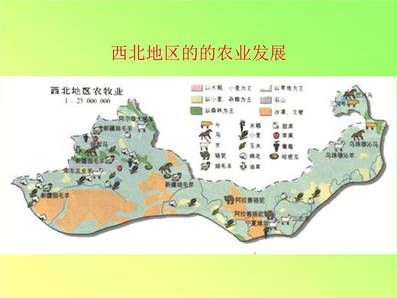 商务星球版八下地理 8.1西北地区 区域特征 课件07