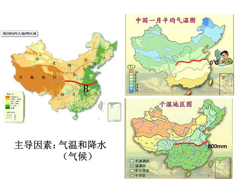 人教版八下地理 7.1自然特征与农业 复习 课件第6页