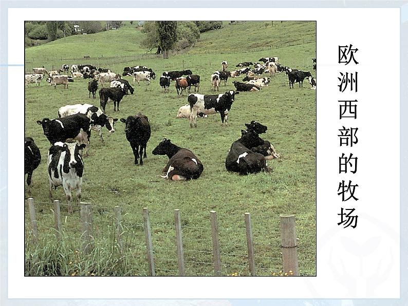 湘教版七下地理 7.4欧洲西部 课件第7页