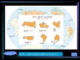 粤教版七下地理  9.3巴西 课件