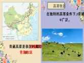 2021-2022学年人教版地理八年级下册第九章第一节《自然特征与农业》第二课时课件