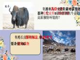 2021-2022学年人教版地理八年级下册第九章第一节《自然特征与农业》第二课时课件