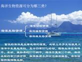 商务星球版八下地理 10.2海洋利用与保护 课件