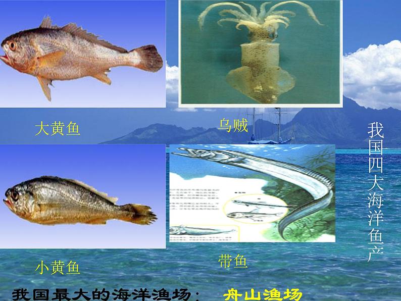 商务星球版八下地理 10.2海洋利用与保护 课件07