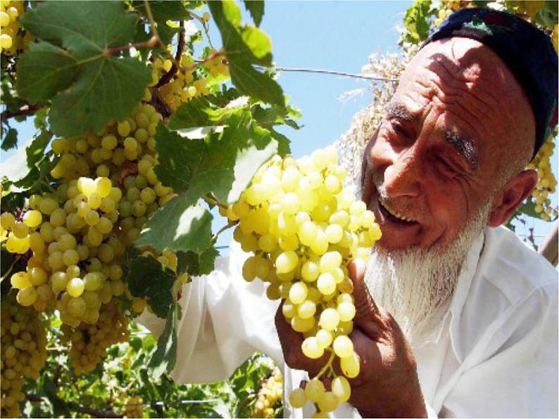 商务星球版八下地理 8.2新疆维吾尔自治区 课件第5页