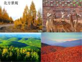 商务星球版八下地理 第7章 活动课 认识南方地区和北方地区的区域差异 课件