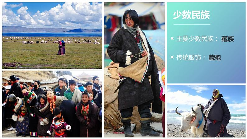粤教版八年级下册地理 6.4青藏地区 课件07