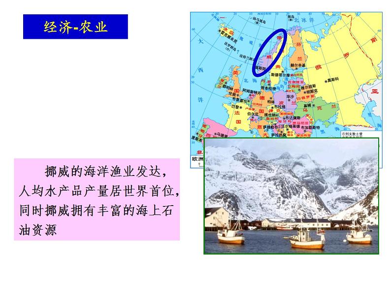 湘教版七下地理 7.4欧洲西部 课件第7页