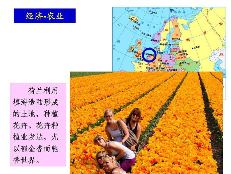 湘教版七下地理 7.4欧洲西部 课件第8页