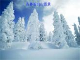 湘教版八下地理 5.1四大地理区域的划分 课件