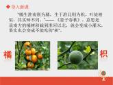 粤教版八下地理 5.2重要的地理分界线 课件