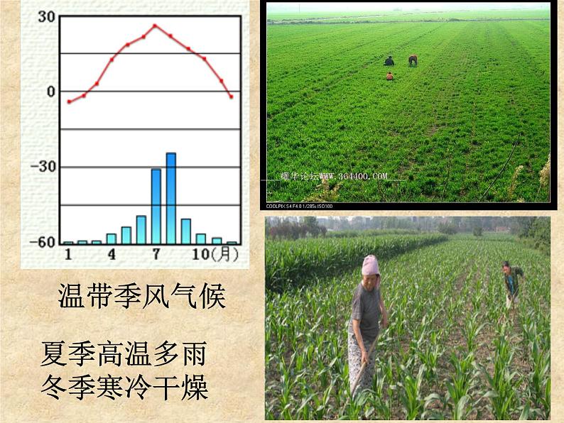 粤教版八下地理 7.5陕西省 课件第8页