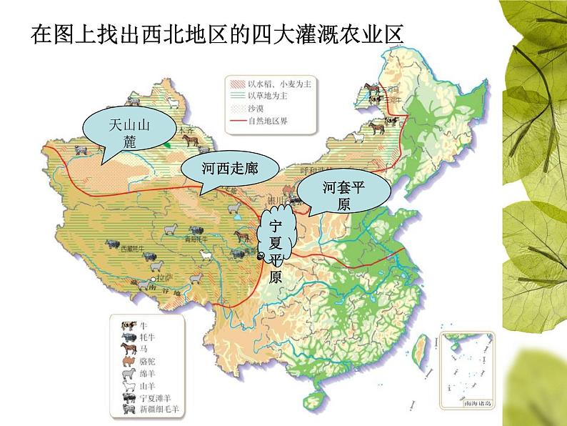 粤教版八下地理 5.1地理区域 课件第8页