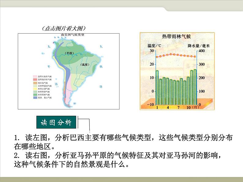 中图版八下地理  7.4 巴西 课件第8页