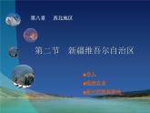 2022年商务星球版八年级地理下册第8章第2节新疆维吾尔自治区课件 (4)