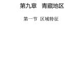 2022年商务星球版八年级地理下册第9章第1节区域特征课件 (2)