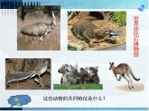 2022年中图版八年级地理下册第7章第3节澳大利亚课件 (1)