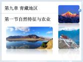 人教版八下地理 9.1自然特征与农业 课件