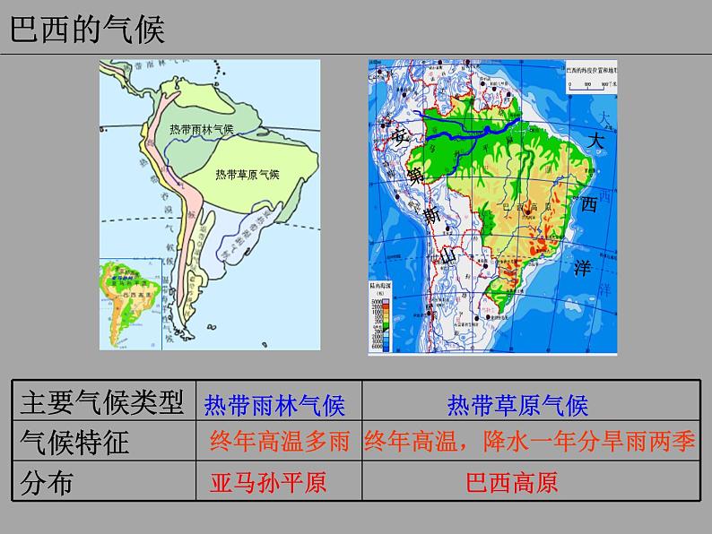 2022年粤教版七年级地理下册第9章第3节巴西课件 (1)第8页